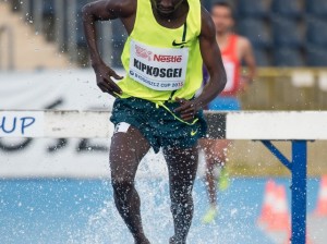 15. Europejski Festiwal Lekkoatletyczny obrazek 8