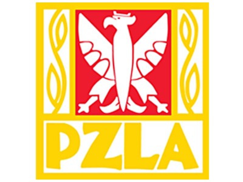 KONFERENCJA PZLA: Ekipa na Daegu to będzie mieszanka