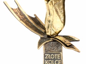 Złote Kolce 2016 obrazek 7